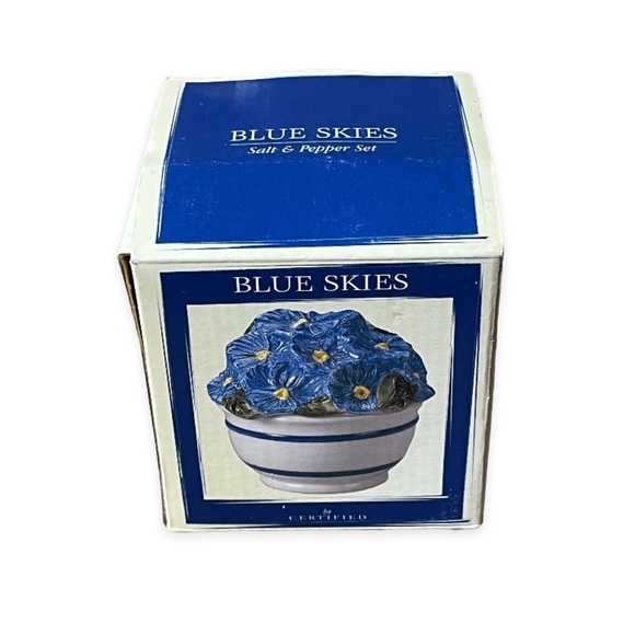Blue Skies Salt and Pepper Flower Pot New in Box by Certified‎ Floral Ceramic - Picture 11 of 11